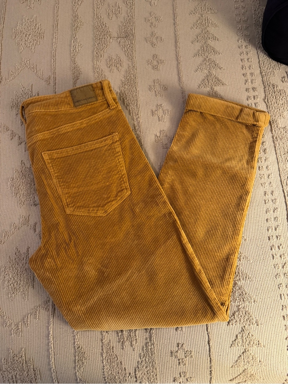 American Eagle Outfitters Corduroy Pants in Mustard